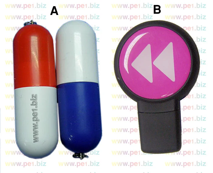 זיכרון נייד