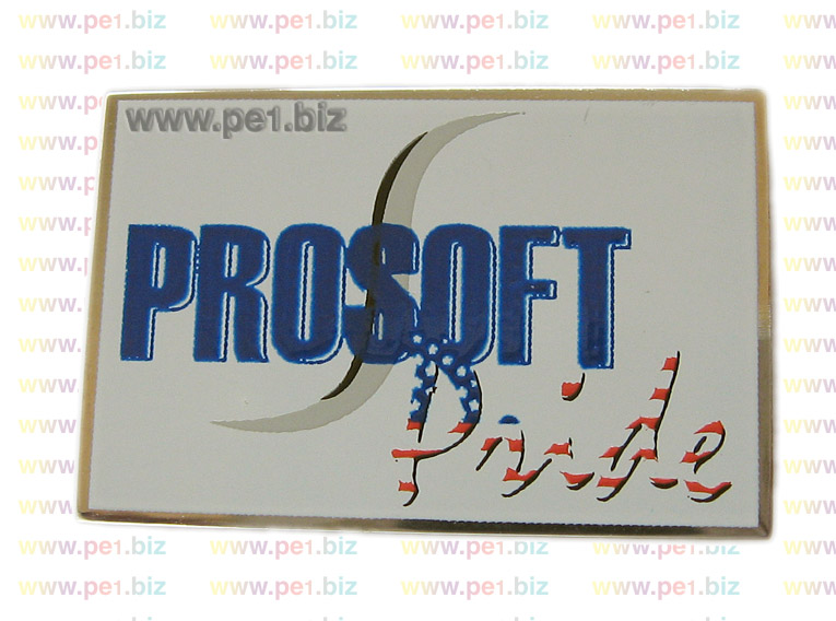 סיכת-דש-מודפסת- רוזה 1 - תמונה 2