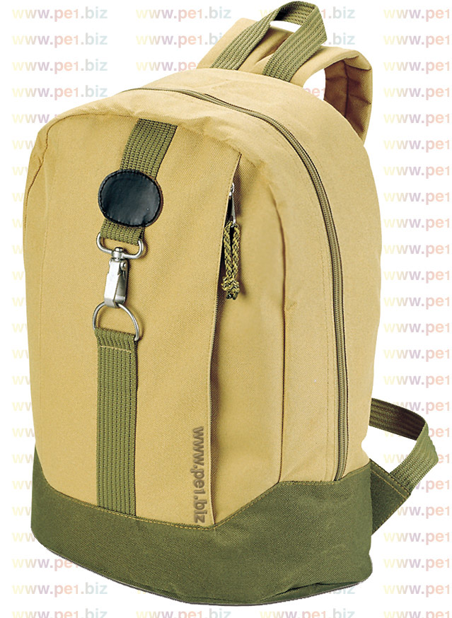 תיק גב,ניקולס - תמונה 2