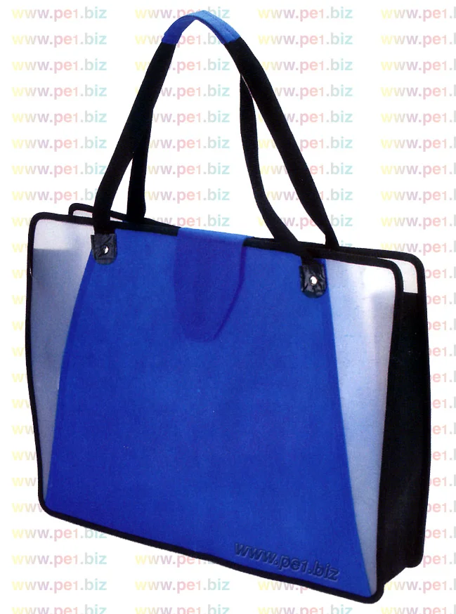 תיק צד,דודי