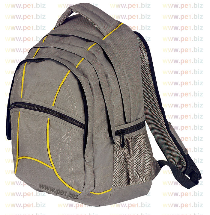 תיק גב אורטופדי,פנחס - תמונה 2